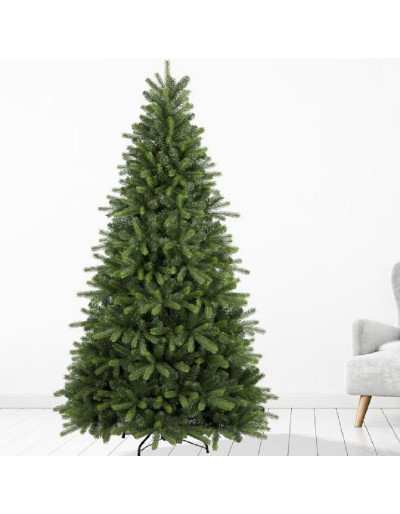Immergrüner Weihnachtsbaum von Matera