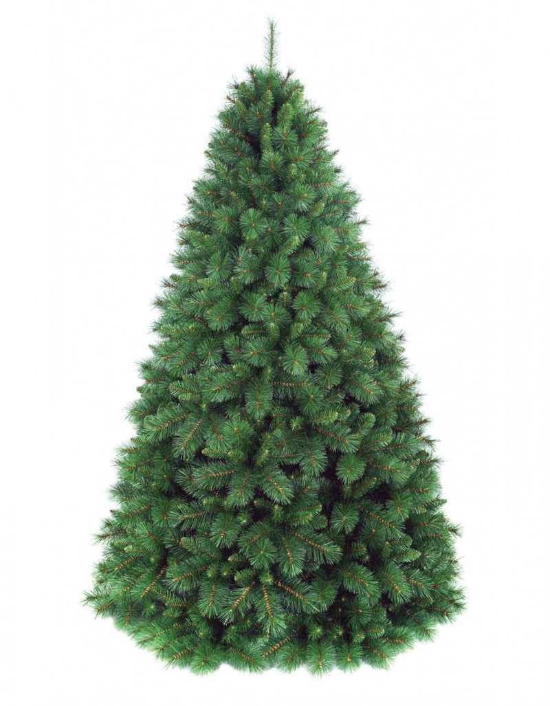 Green Peak Evergreen... Green Peak Evergreen...