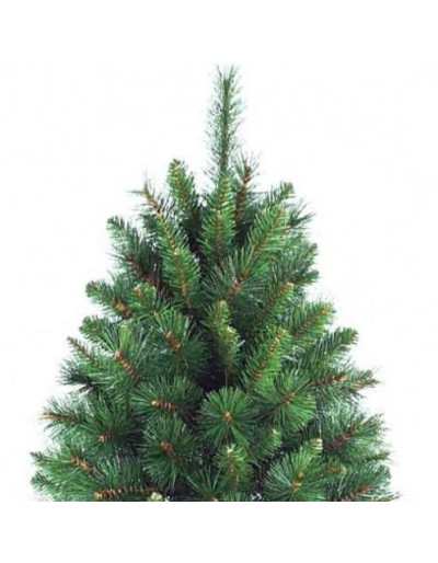 Green Peak Christmas Pine Punta fina de hoja perenne