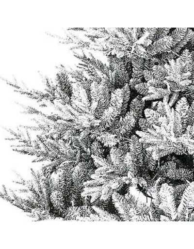 Détail du pin de Noël Poly Snowy Nordmann