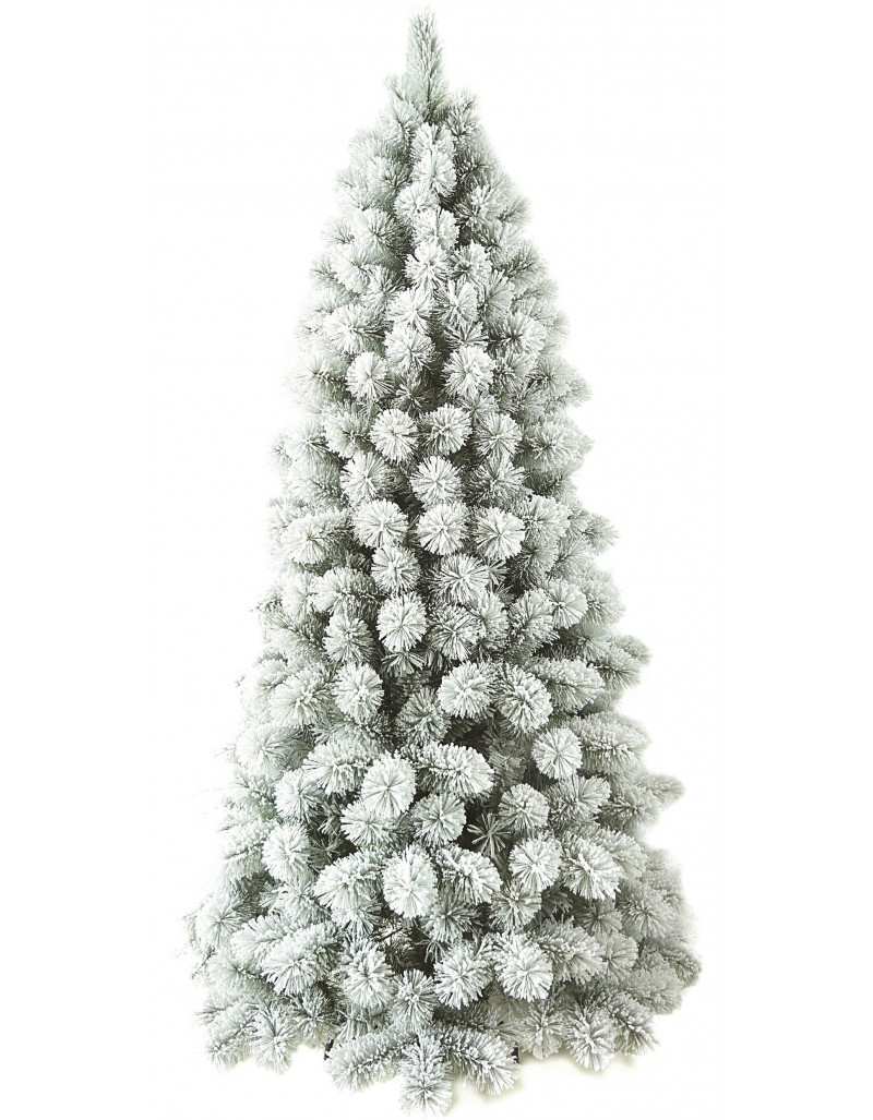 Besneeuwde Steen Besneeuwde Kerst Pine