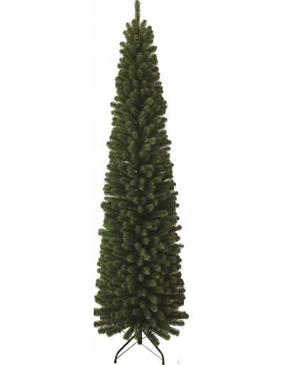 Wellington Pencil Sapin de Noël à feuillage persistant