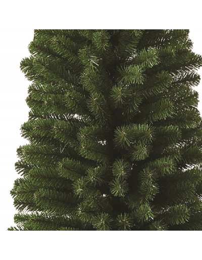 Wellington Pencil Evergreen Christmas Fir