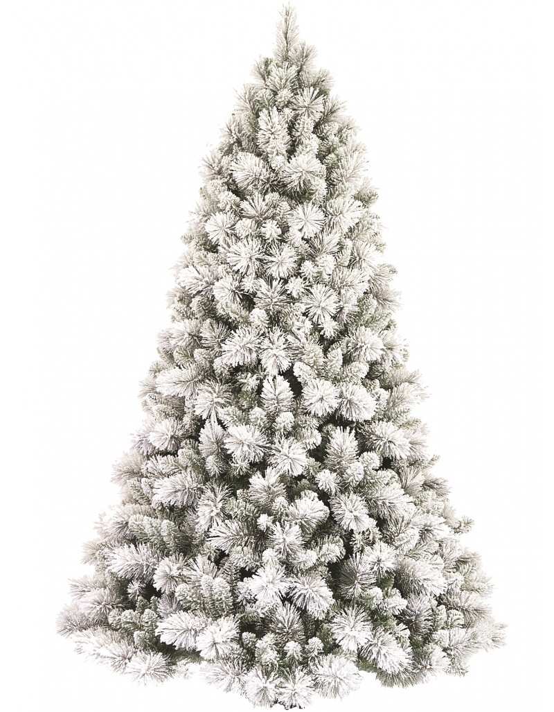 White Empire Flocked Snowy Christmas Pine White Empire Flocked Snowy Christmas Pine