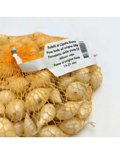 Cipollina Bianca Busta 500g dettaglio