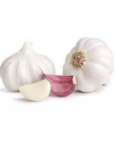 White and Red Garlic Bulb