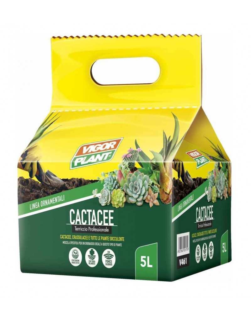 Soil for succulents and... Soil for succulents and...