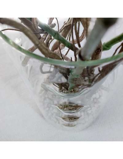 Extra-clear glass vase with...