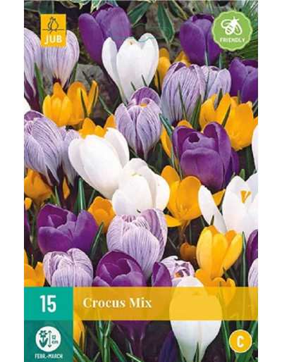 Crocus profumati mix 15 bulbi