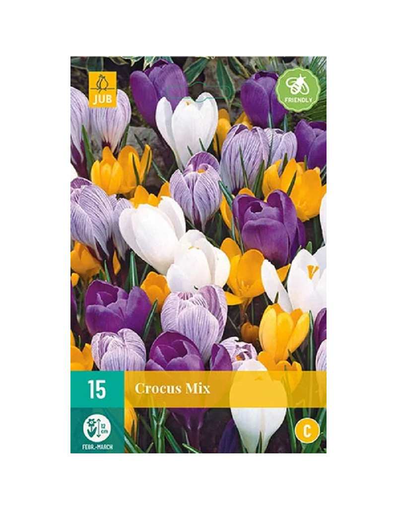 Scented crocus mix 15 bulbs