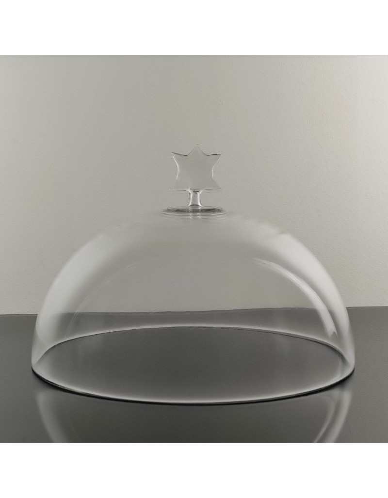 Glass dome Glass dome