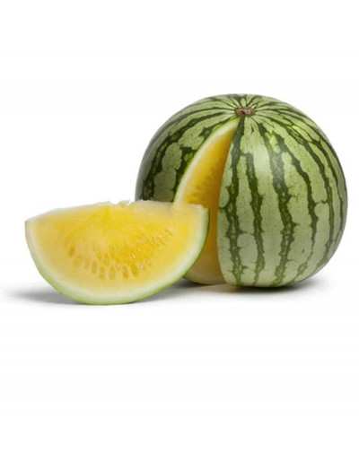 Gele Luteo F1 watermeloenplant