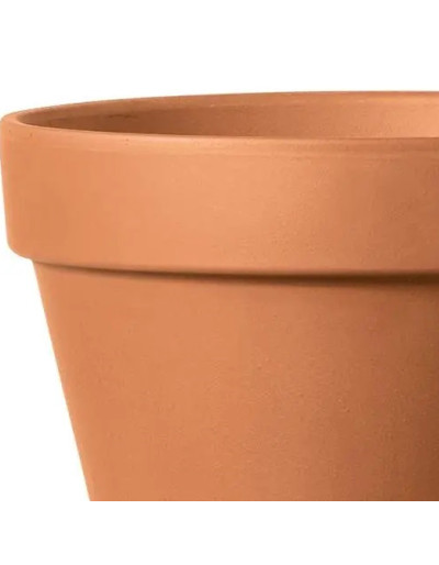 Standaard Terracotta Vaas 5cm