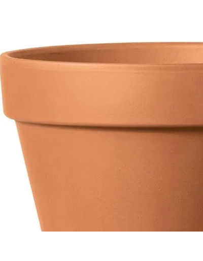 Standard Terracotta Vase 7cm