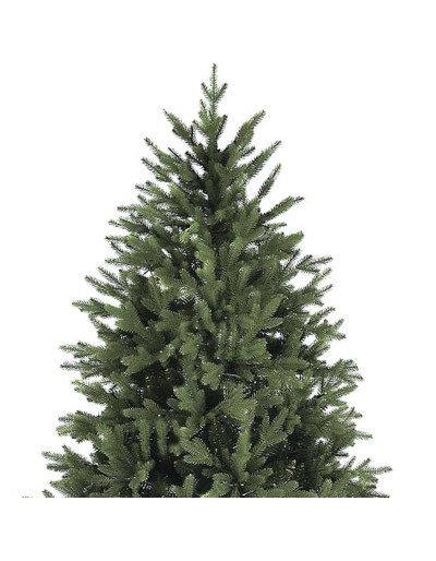 POLY ORTLES SPRUCE con luci