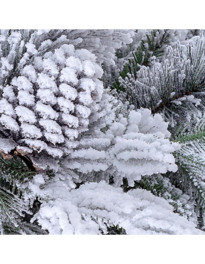 ALBERO ARVES INNEVATO H240 cm