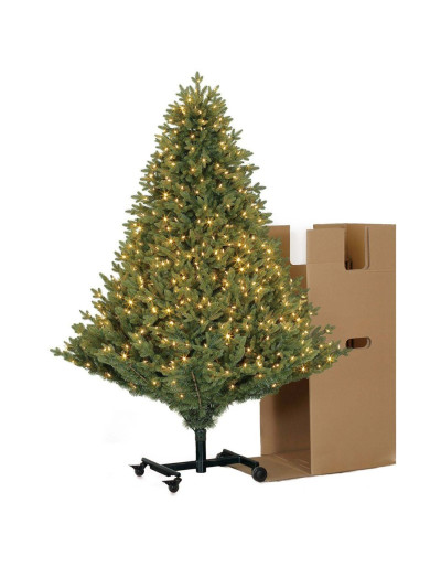 Poly Cumberland Albero di...