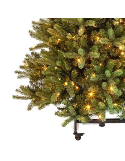 Poly Cumberland Albero di...