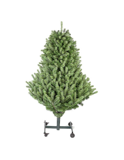 Poly Cumberland Albero di...
