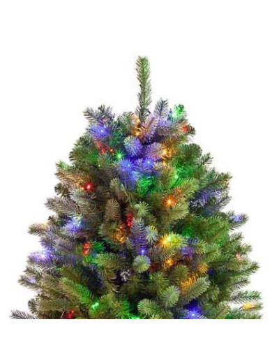 Poly Cumberland Albero di...