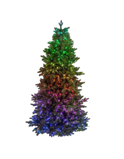 POLY JOFFRE TWINKLY PINE...