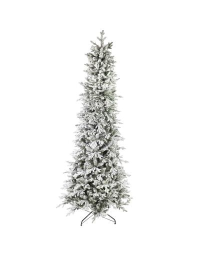 POLY SNOWY GOODSIR PRELIT...