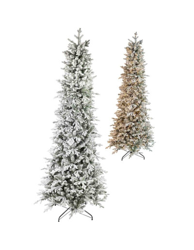 POLY SNOWY GOODSIR PRELIT...
