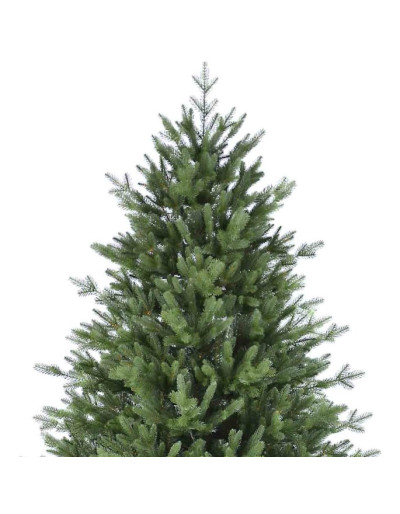 POLY ADAMS PINE Christmas Fir