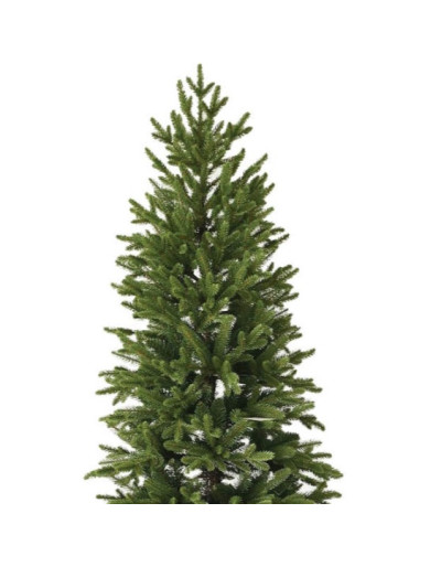 POLY MARIBOR PENCIL Albero...