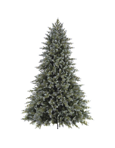 POLY SANFORD SPRUCE...