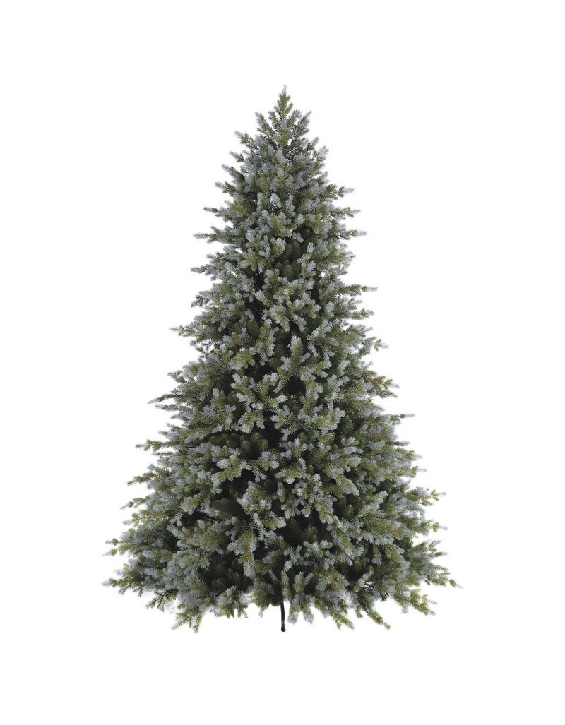 POLY SANFORD SPRUCE... POLY SANFORD SPRUCE...