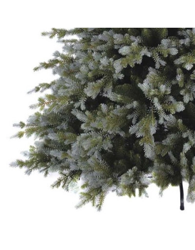 POLY SANFORD SPRUCE...