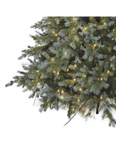 POLY SANFORD SPRUCE PRELIT...