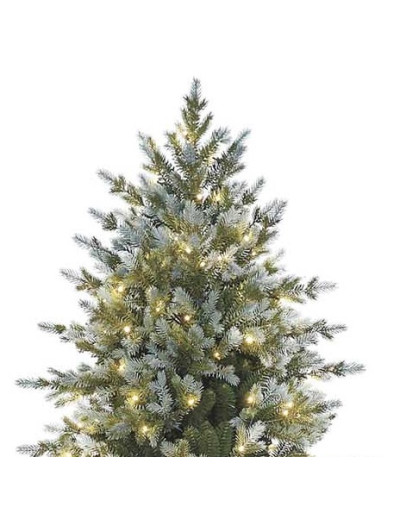 POLY SANFORD SPRUCE PRELIT...