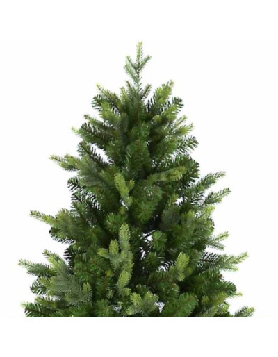 POLY STANLEY PINE Christmas...