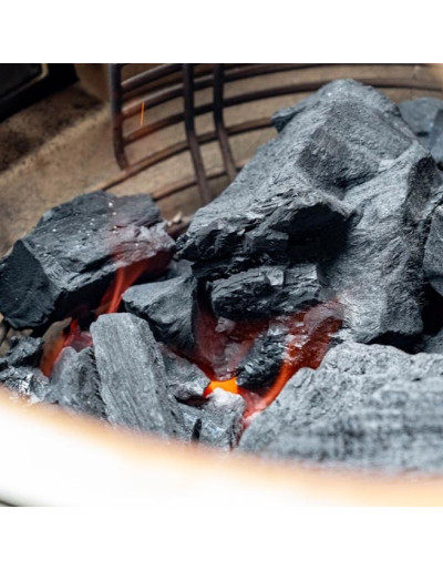 BULL COAL 10 Kg