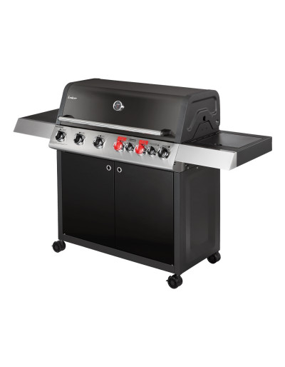 BARBECUE A GAS COLORADO