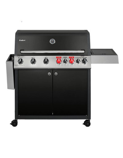 BARBECUE A GAS COLORADO