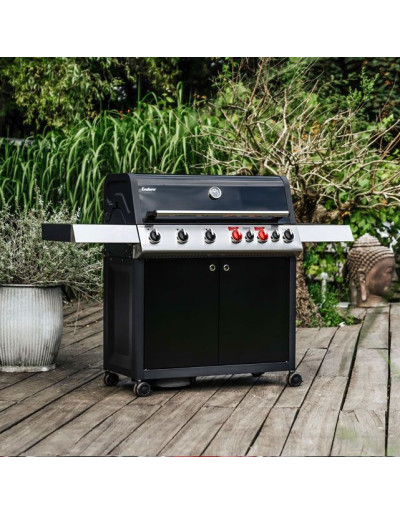 BARBECUE A GAS COLORADO