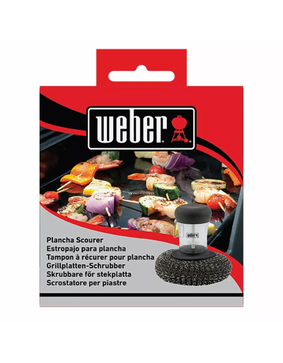 SCOURER FOR CLEANING THE PLATE