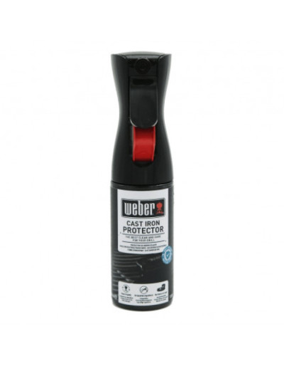 SPRAY PROTETTIVO PER GHISA