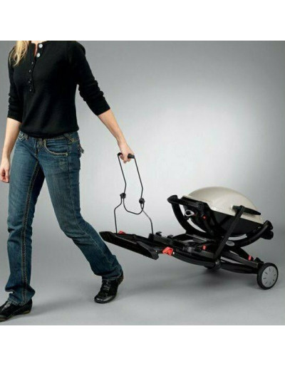 CARRELLO PIEGHEVOLE Q