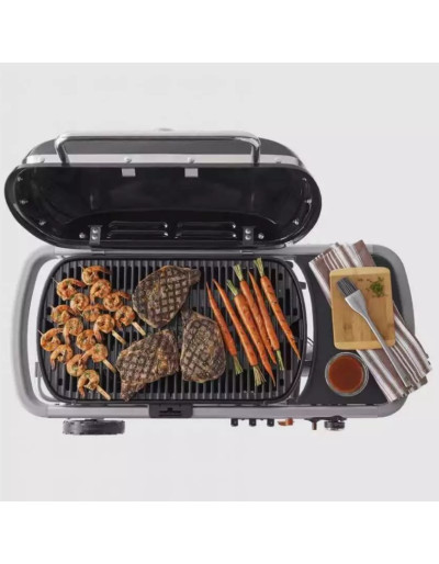 CHURRASCO UM VIAJANTE WEBER...