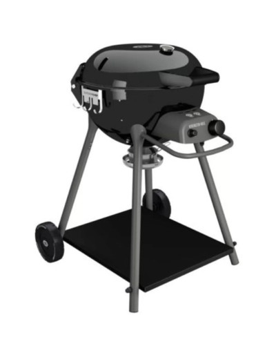 GRILL KENISGHTON 480 G