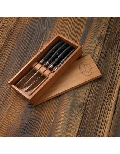 SET DI COLTELLI DA BISTECCA