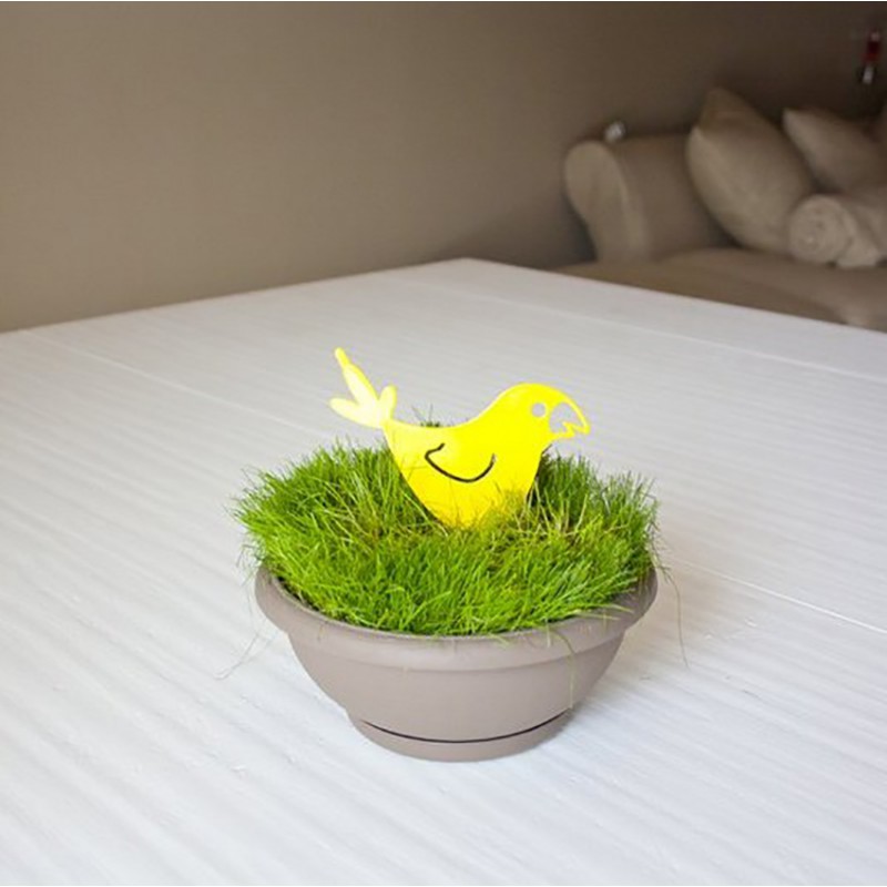 Mosquito coil holder parrot pot version Mosquito coil holder parrot pot version