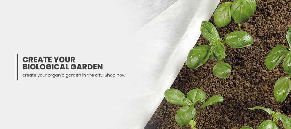vegetable and fruit plants