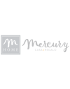 Mercury srl
