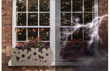 Vinden har förändrats: hur du skyddar dina blommor utomhus från nya extrema väderhändelser