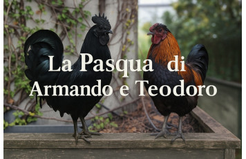 Armando och Teodoros påsk – En sann historia från vår trädgård